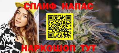 гидра Будённовск